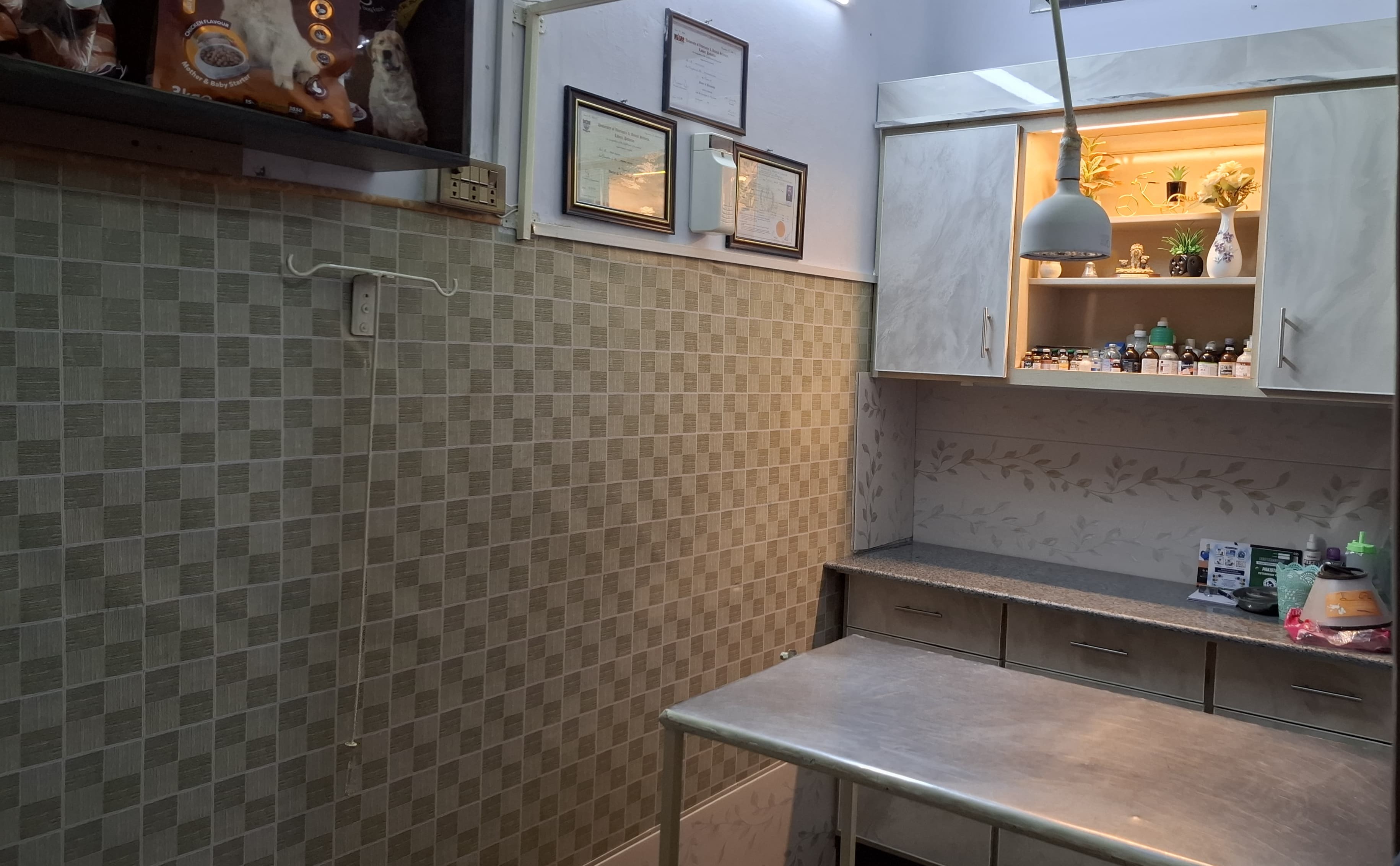 Clean veterinary examination room at Pakistan Veterinary Clinic, Pākpattan