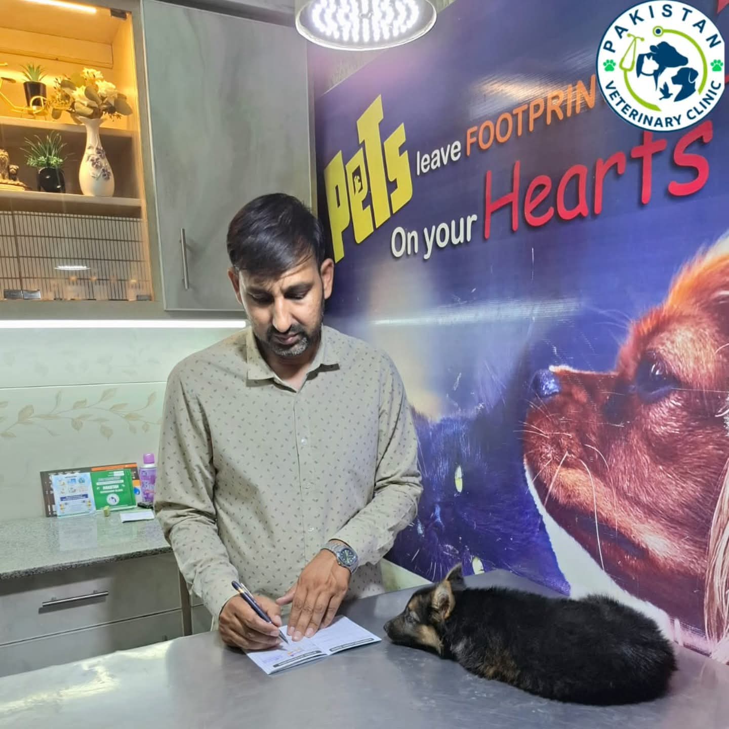 Dr. Adnan Maqsood documenting patient records alongside a resting German Shepherd puppy